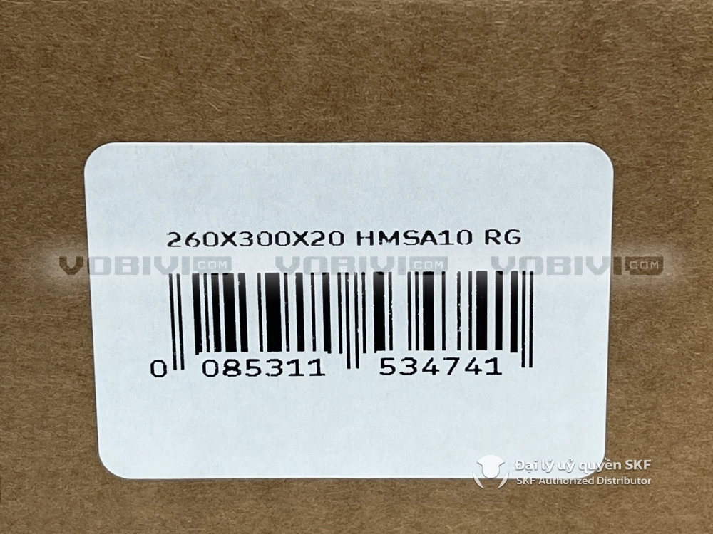Phớt 260X300X20 HMSA10 RG