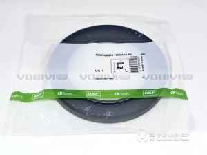 Phớt 120X180X12 HMSA10 RG