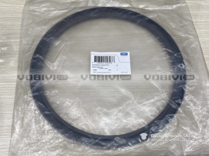 Phớt 250x280x15 HMSA10 RG