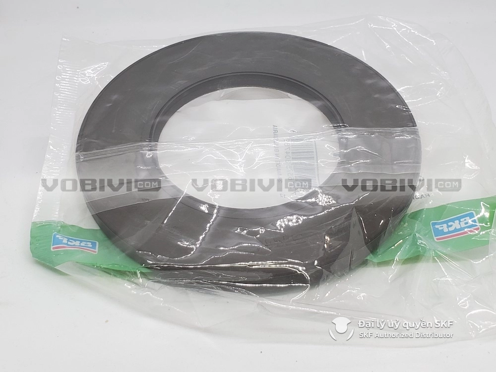 Phớt SKF 95x170x13 HMSA10 RG