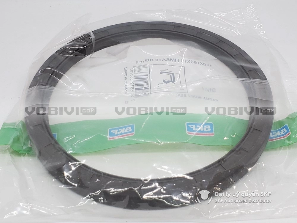 Phớt SKF 160x190x15 HMSA10 RG