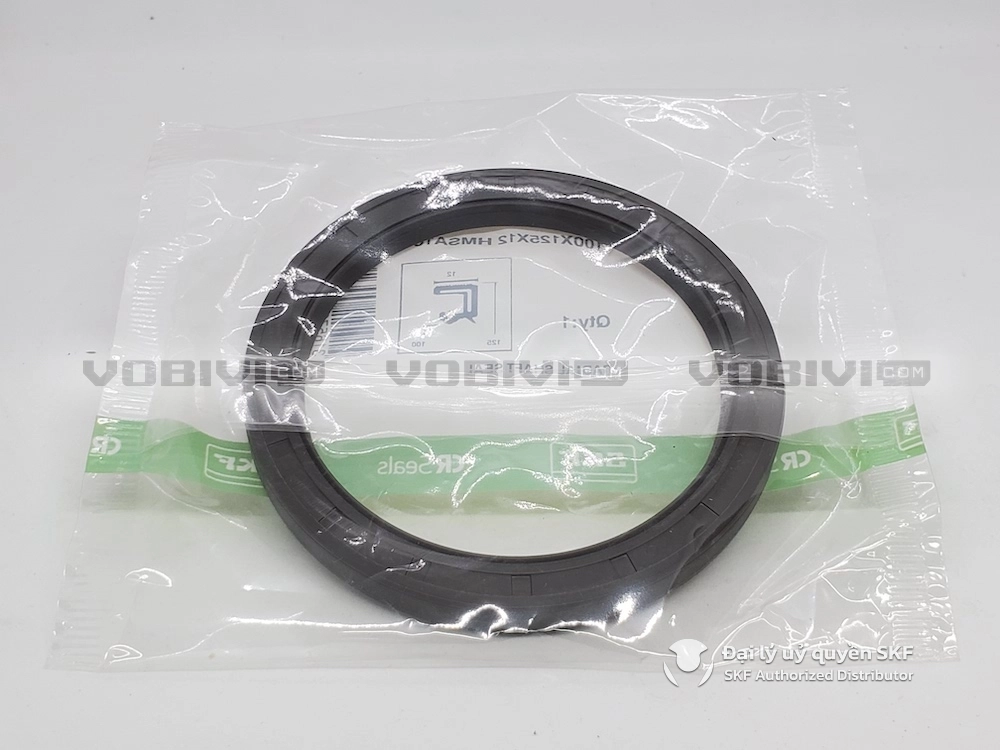 Phớt SKF 100x125x12 HMSA10 RG