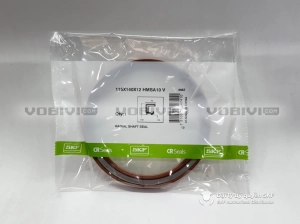 Phớt SKF 115X140X12 HMSA10 V