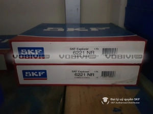 Vòng bi SKF 6221 NR chính hãng Vòng bi SKF 6221 NR