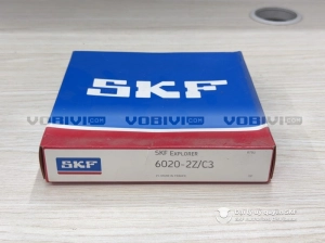 Vòng bi SKF 6020-2Z/C3