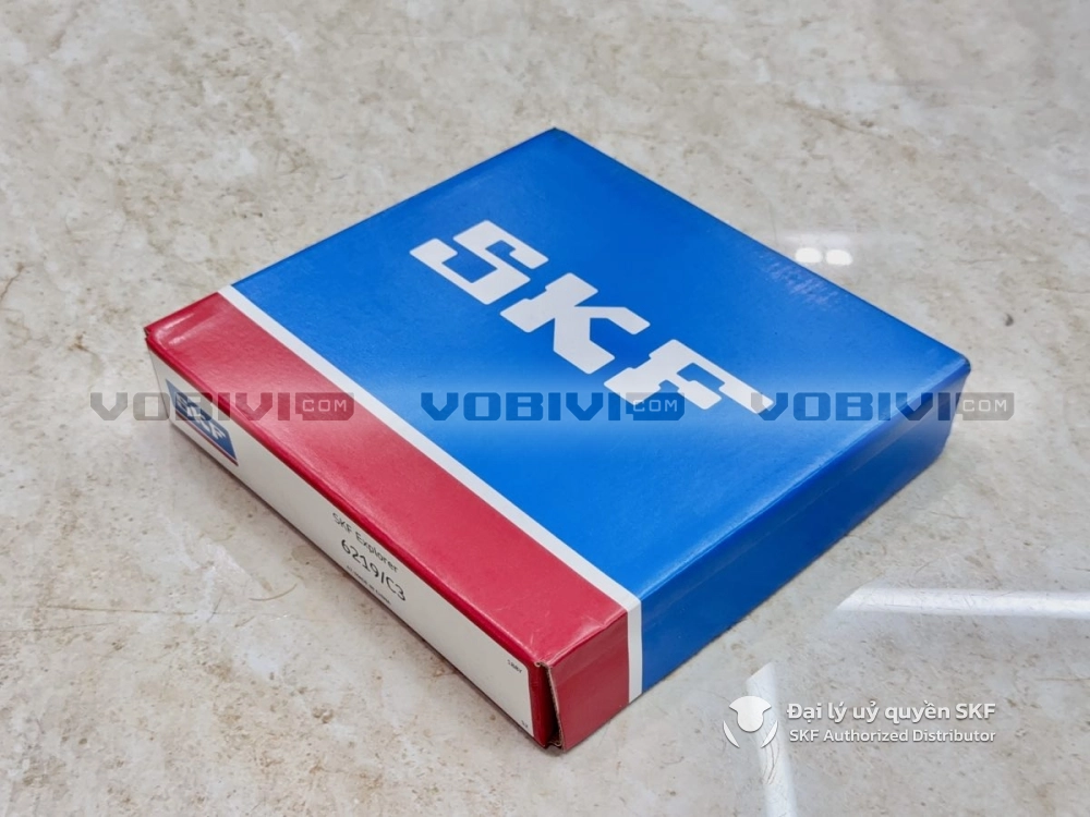 Vòng bi SKF 6219/C3 chính hãng