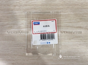 Vòng bi SKF 618/6