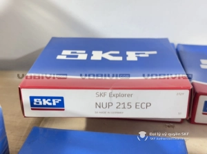 Vòng bi SKF NUP 215 ECP chính hãng Vòng bi SKF NUP 215 ECP