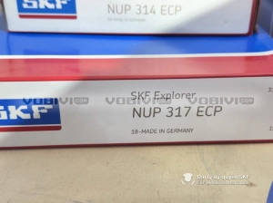 Vòng bi SKF NUP 317 ECP