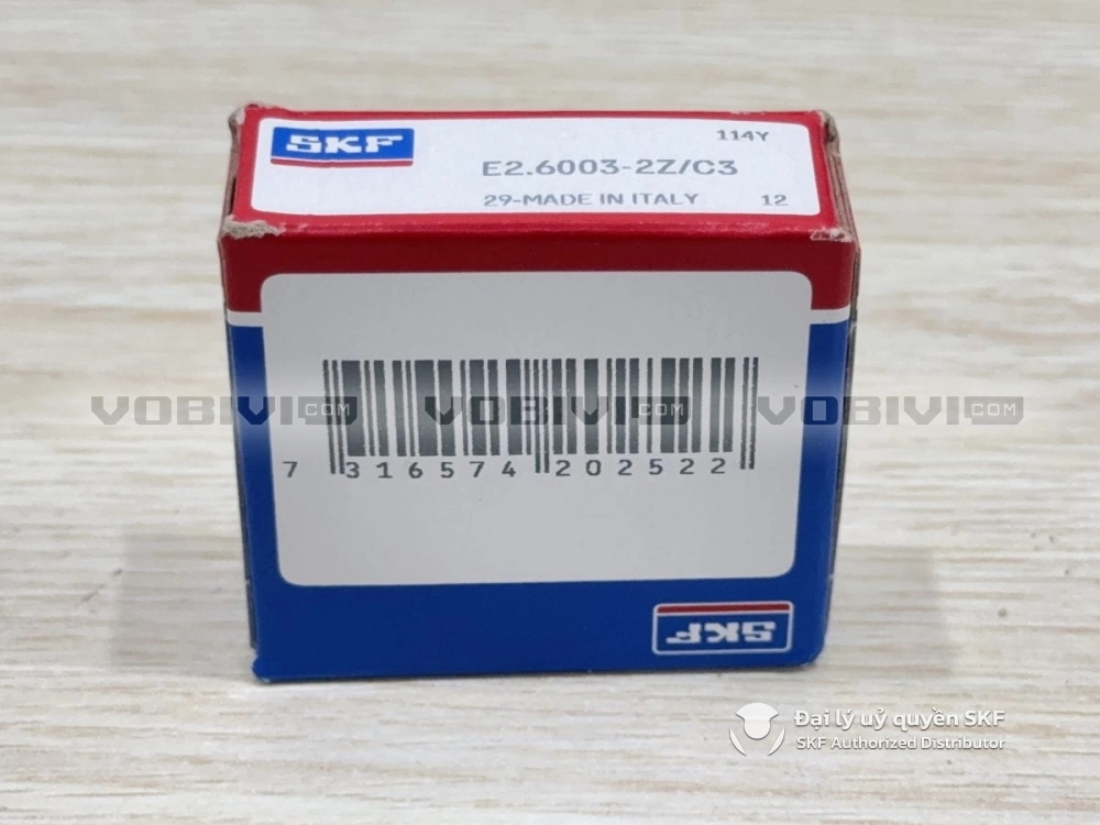 Vòng bi E2.6003-2Z/C3 chính hãng SKF