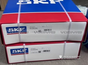Vòng bi SKF NJ 238 ECML chính hãng Vòng bi SKF NJ 238 ECML