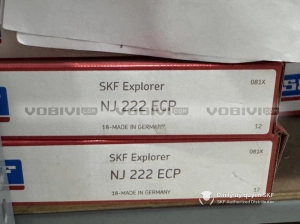 Vòng bi SKF NJ 222 ECP chính hãng Vòng bi SKF NJ 222 ECP