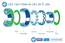 Khái niệm cơ bản về vòng bi - bạc đạn, các chủng loại vòng bi SKF thông dụng