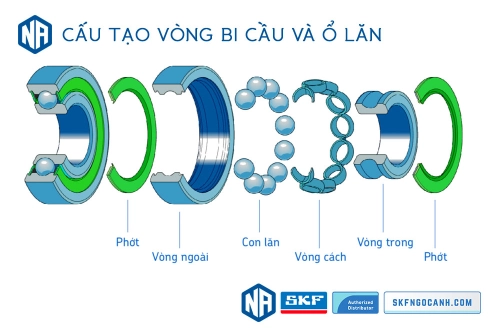 Khái niệm cơ bản về vòng bi - bạc đạn, các chủng loại vòng bi SKF thông dụng