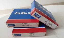 Top những vòng bi cầu SKF bán chạy trong tháng 3-2019