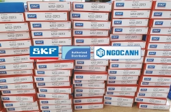 Những mã vòng bi cầu seri 6000 SKF thông dụng tại thị trường Việt Nam