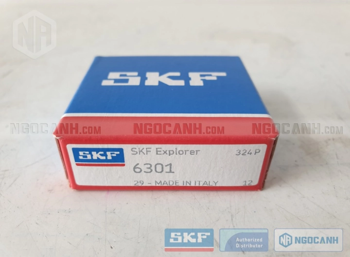 Vòng bi bạc đạn SKF 6301