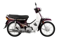 Thông số vòng bi xe Dream Honda