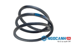 Tìm hiểu về dây đai SKF, dây curoa SKF chính hãng