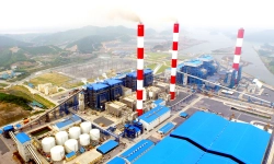 Vòng bi SKF dùng cho nhà máy Nhiệt Điện