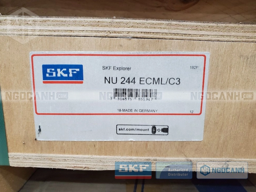 Vòng bi SKF NU 244 ECML/C3 chính hãng
