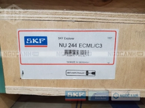 Vòng bi SKF NU 244 ECML/C3 chính hãng Vòng bi SKF NU 244 ECML/C3