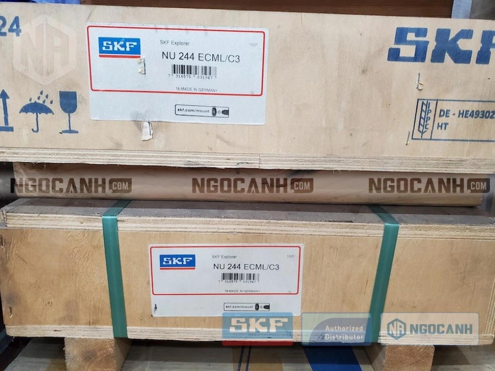 Vòng bi SKF NU 244 ECML/C3 chính hãng