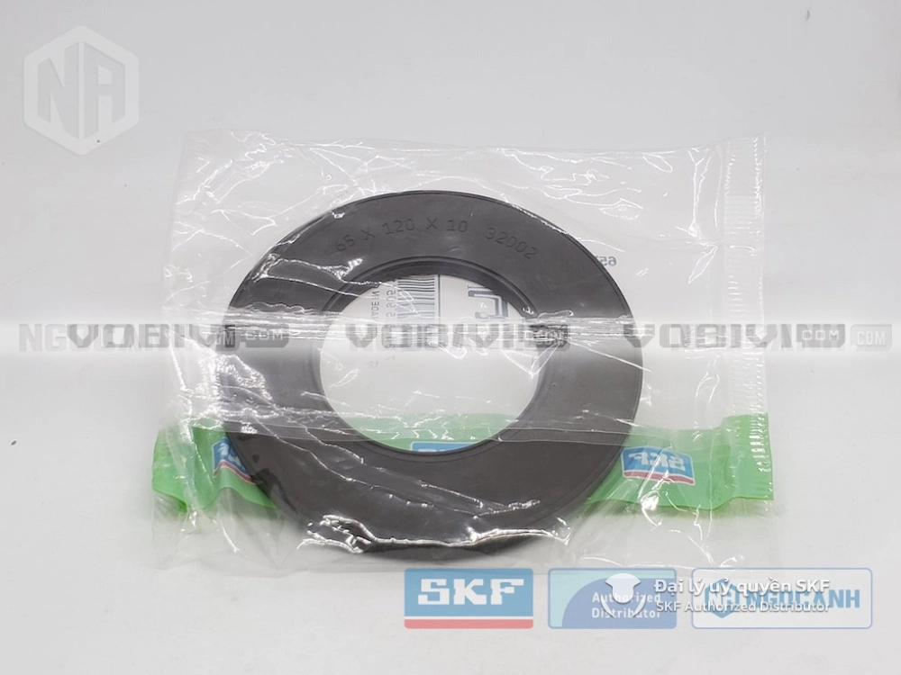 Phớt SKF 65x120x10 HMSA10 RG