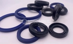 Phân biệt phớt chắn dầu SKF 1 môi, 2 môi và ứng dụng công nghiệp