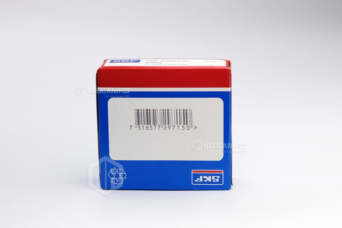 Tại sao nên mua vòng bi SKF 6006 tại NGOCANH.COM