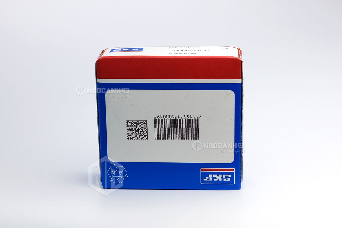 Tại sao nên mua vòng bi SKF 6006-2RS1 tại NGOCANH.COM