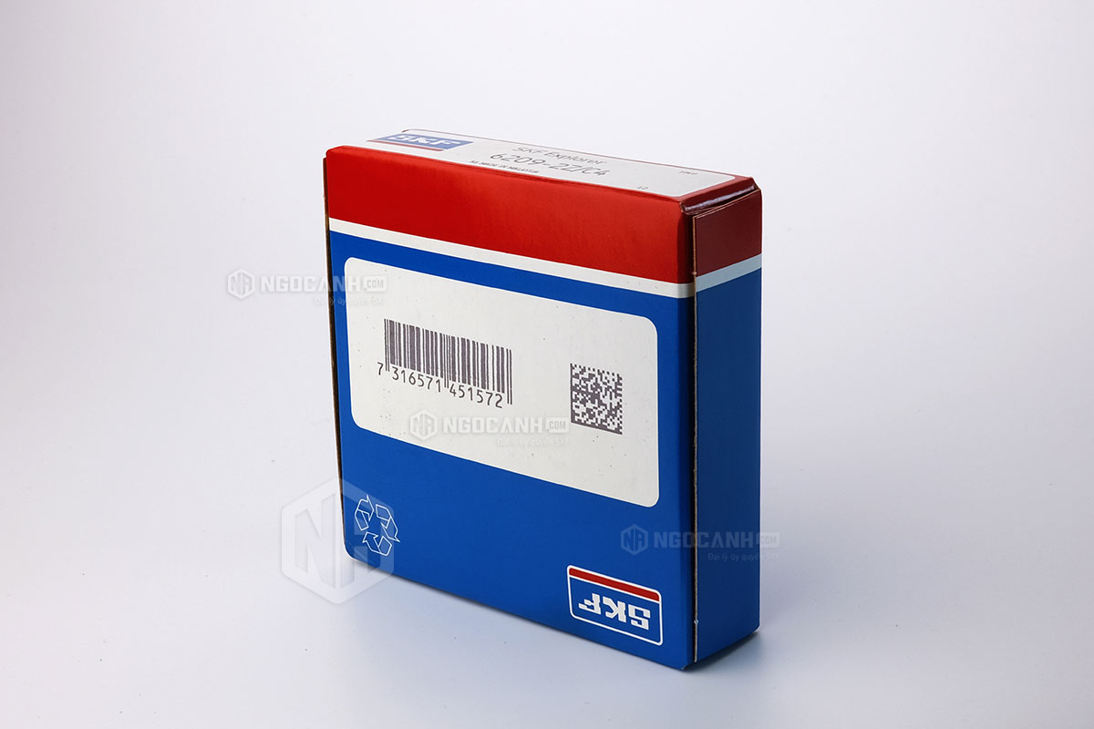 Tại sao nên mua vòng bi SKF 6209-2Z/C4 tại NGOCANH.COM