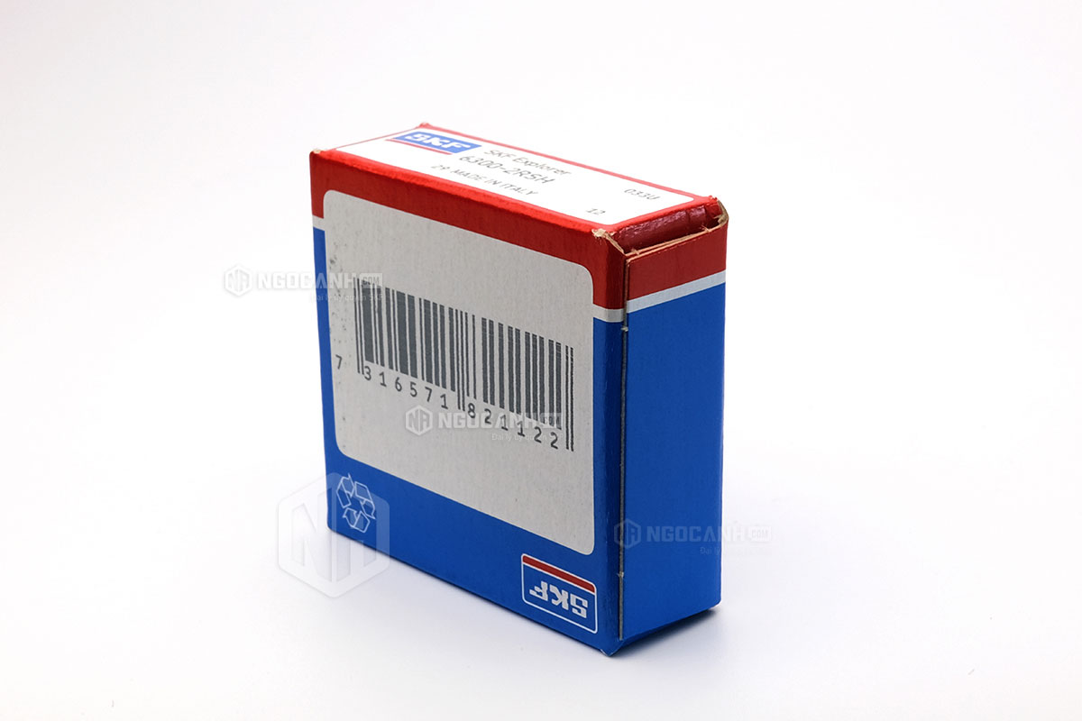 Tại sao nên mua vòng bi SKF 6300-2RSH tại NGOCANH.COM