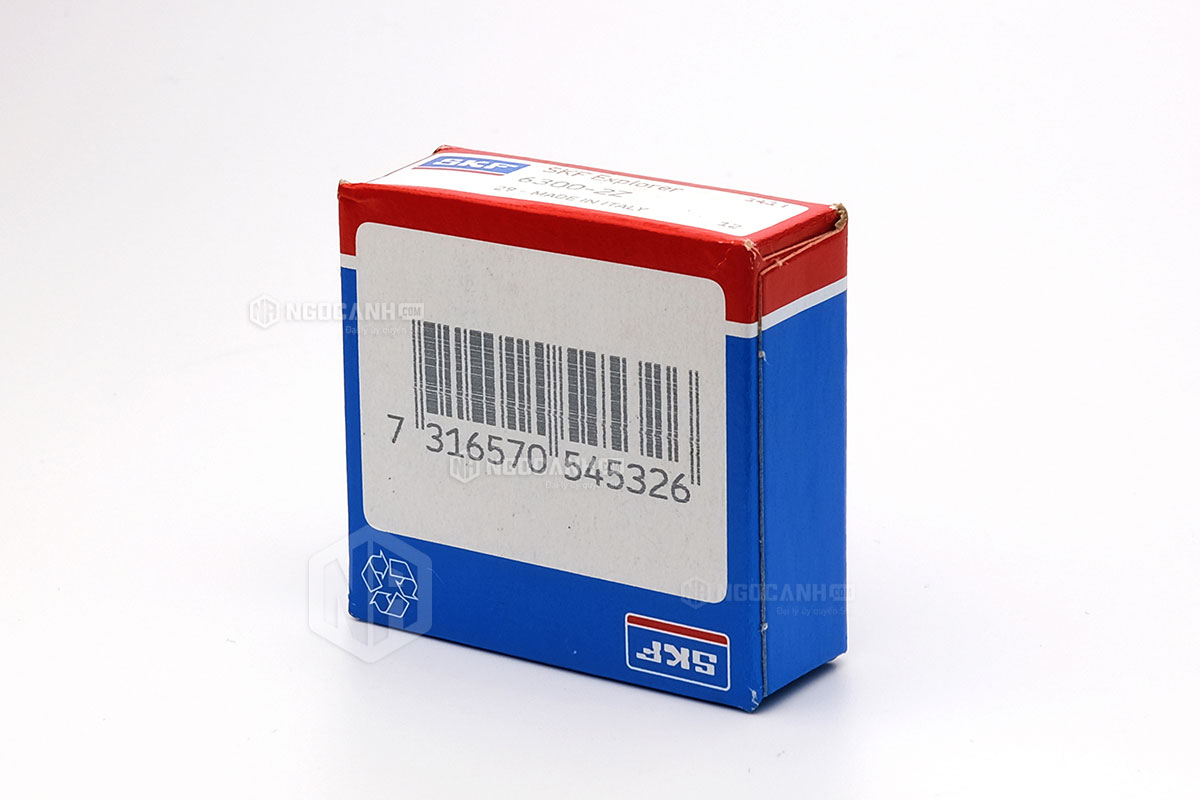 Tại sao nên mua vòng bi SKF 6300-2Z tại NGOCANH.COM