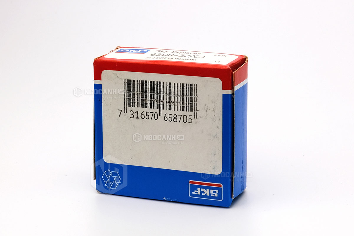 Tại sao nên mua vòng bi SKF 6300-2Z/C3 tại NGOCANH.COM