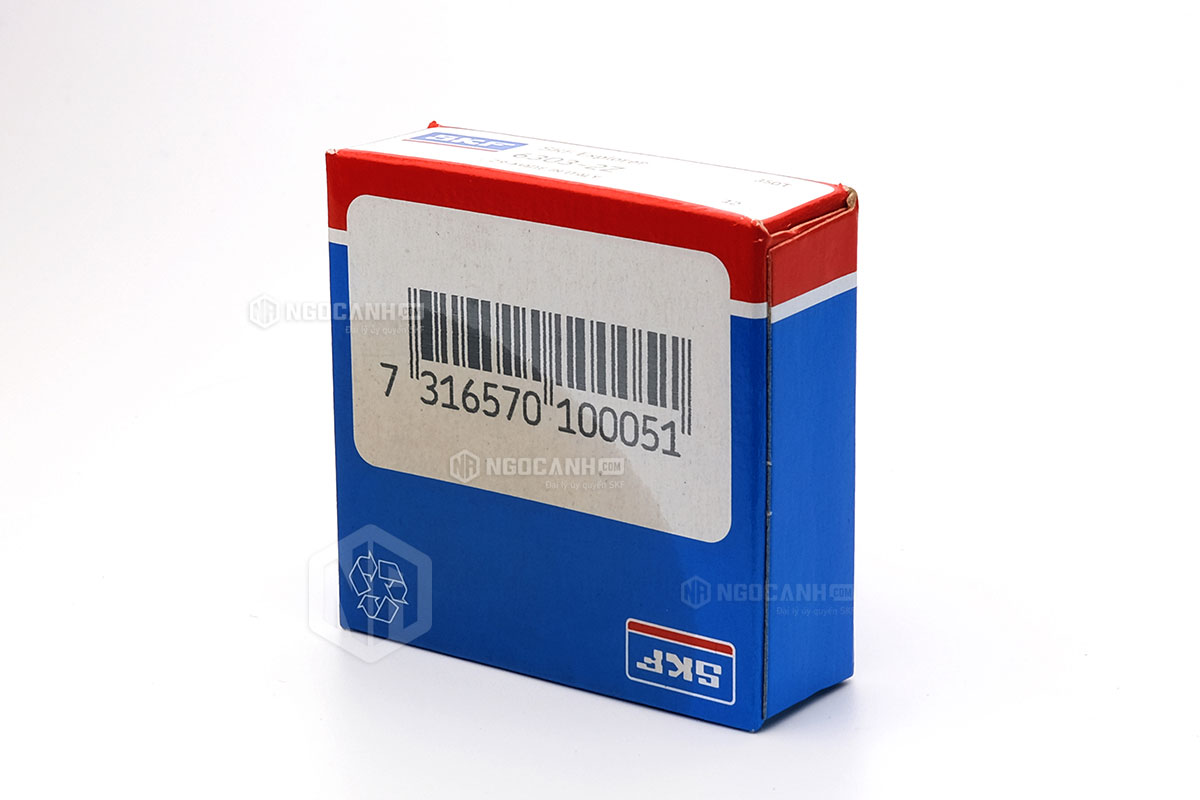 Tại sao nên mua vòng bi SKF 6303-2Z tại NGOCANH.COM