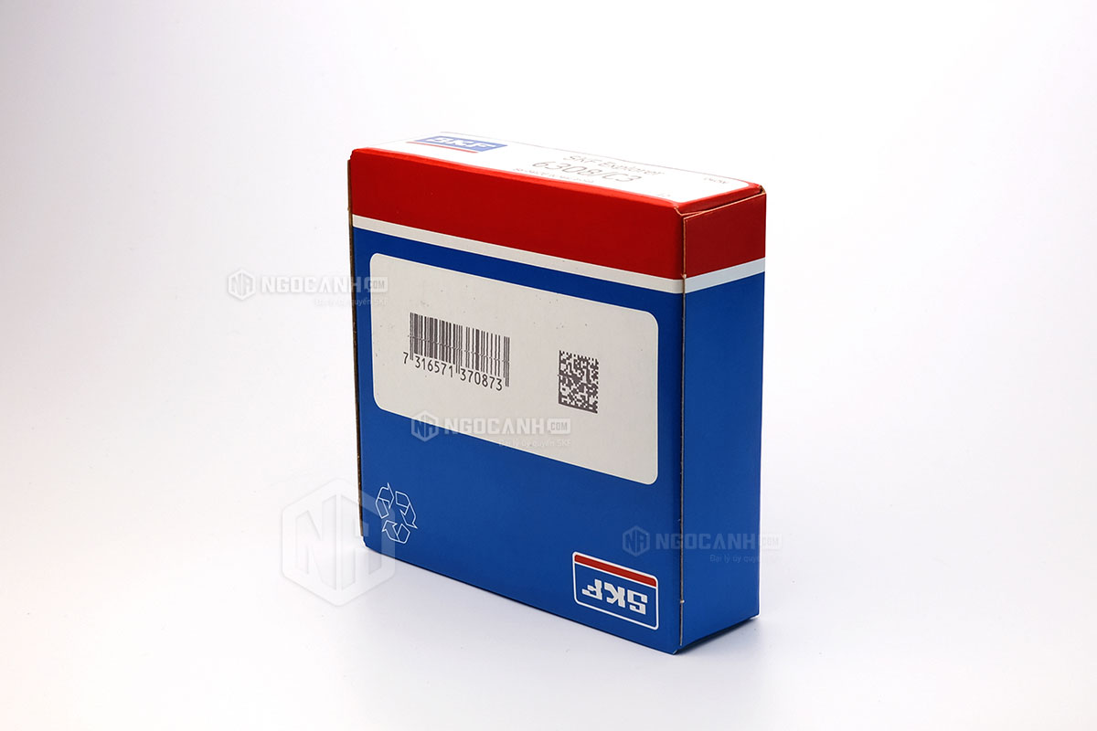 Tại sao nên mua vòng bi SKF 6308/C3 tại NGOCANH.COM