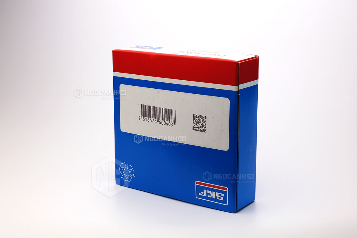 Tại sao nên mua vòng bi SKF 6309-2RS1 tại NGOCANH.COM