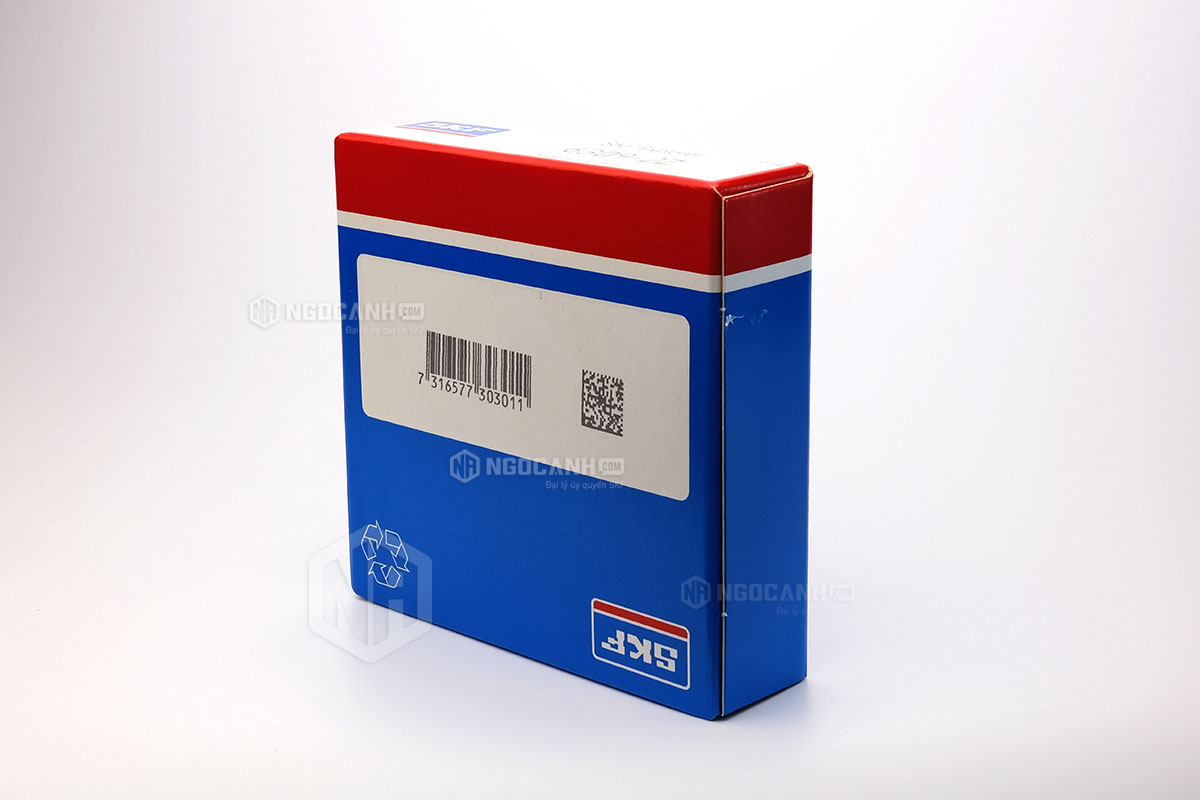 Tại sao nên mua vòng bi SKF 6309-2Z tại NGOCANH.COM